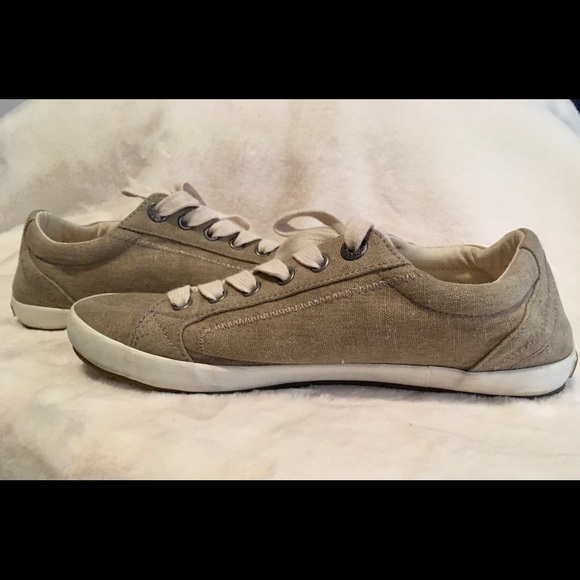 Taos Khaki Star Sneaker - Picture 4 of 6